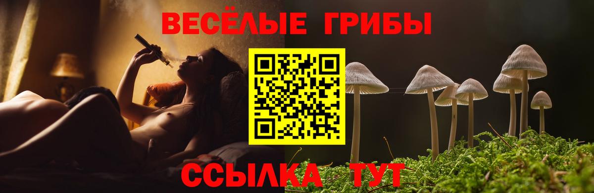 Ивантеевка  Галлюциногенные грибы мицелий  Галлюциногенные грибы Psilocybe  Вход с VPN 
