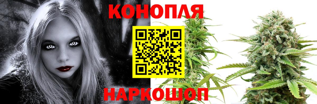 Шишки марихуана MAZAR  Вход с VPN  Бошки Шишки Amnesia  Каннабис Amnesia  МАРИХУАНА семена  Ивантеевка 